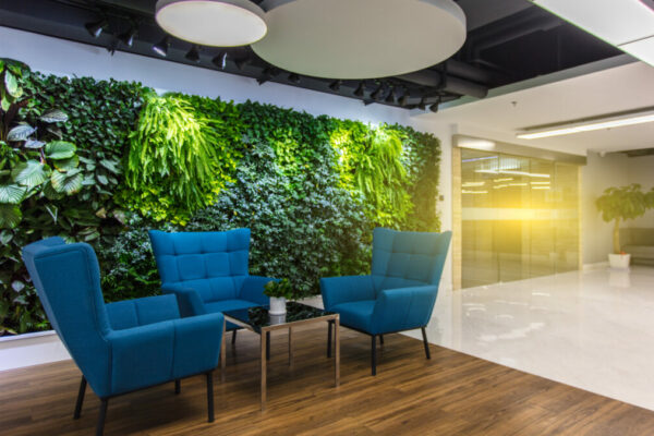 Rest,Area,At,The,Front,Desk,Of,The,Modern,Office,