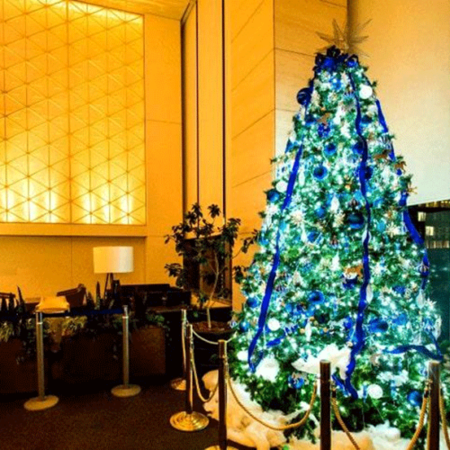 【クリスマスイルミネーション】電飾の使い方とおすすめライト