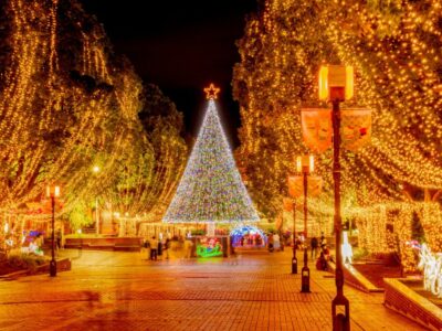 イルミネーションはなぜ人気なの？魅力や効果などを解説