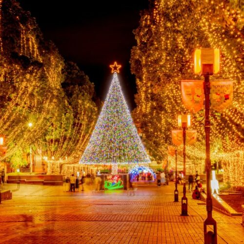 イルミネーションはなぜ人気なの？魅力や効果などを解説