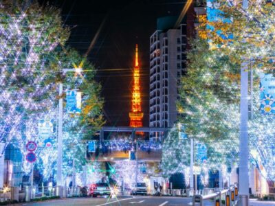 イルミネーションで彩られた道の魅力や設置する際のポイントを解説