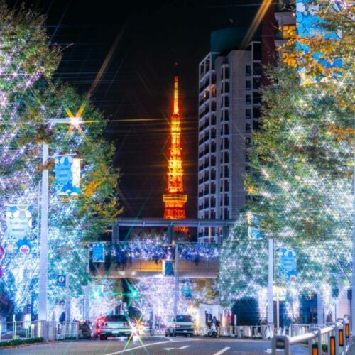 イルミネーションで彩られた道の魅力や設置する際のポイントを解説