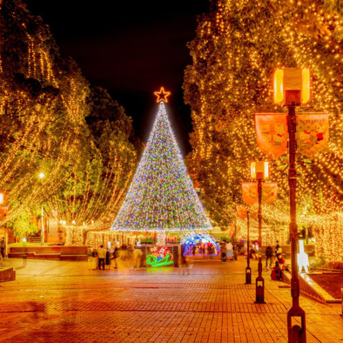 イルミネーションの種類って？ライトのタイプ別の特徴を解説