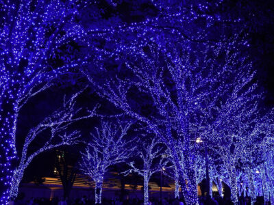 イルミネーションの起源・歴史は？最新技術についても解説