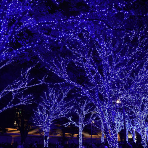 イルミネーションの起源・歴史は？最新技術についても解説