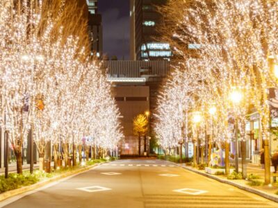 【街路樹イルミネーション】設置する際に知っておくべきことを紹介