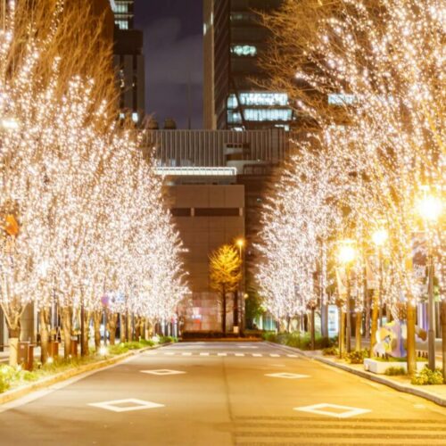 【街路樹イルミネーション】設置する際に知っておくべきことを紹介